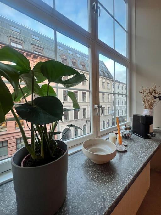 Koselig Leilighet I Sentrum Av Oslo Med Byutsikt! Exterior photo
